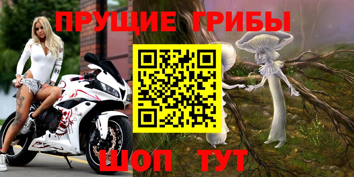 Галлюциногенные грибы прущие грибы Рассказово
