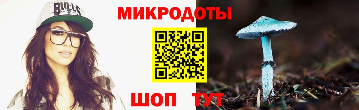 Псилоцибиновые грибы GOLDEN TEACHER  Галлюциногенные грибы GOLDEN TEACHER  Вход с VPN  Рассказово 